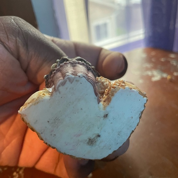 Adorable Bear Figurine with Floral Basket - Picture 6 of 17